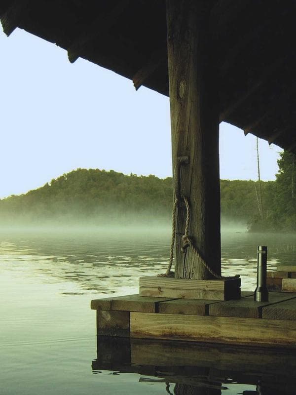 Үс & Бие арчилгаа